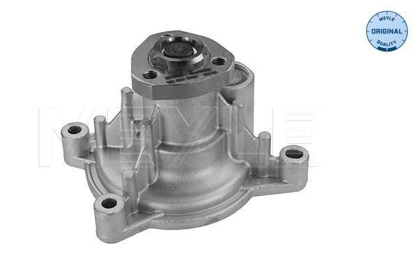 Vattenpump Meyle 113 220 0016 MEYLE