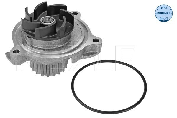 Vattenpump Meyle 113 220 0022 MEYLE