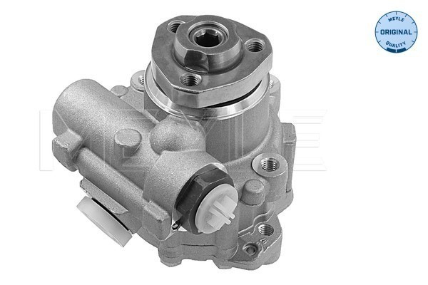Servopump Meyle 114 631 0015 MEYLE Servopump Meyle 114 631 0015 MEYLE