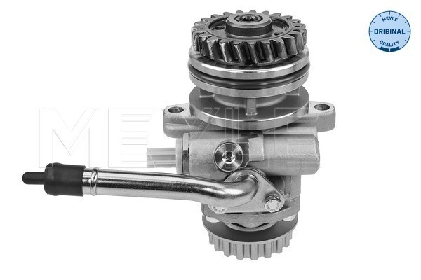 Servopump Meyle 114 631 0033 MEYLE