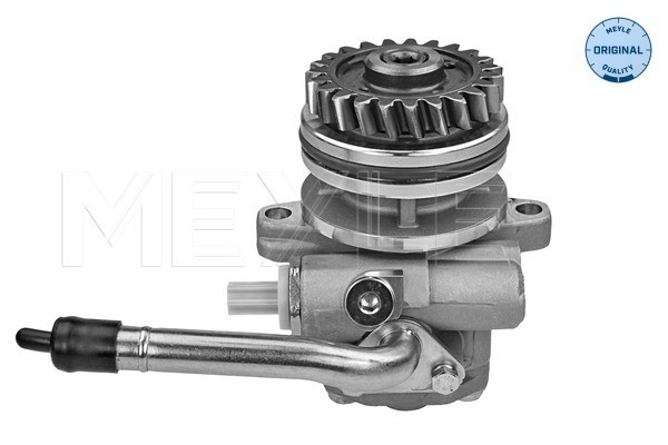 Servopump Meyle 114 631 0036 MEYLE