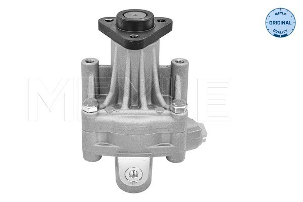 Servopump Meyle 114 631 0047 MEYLE