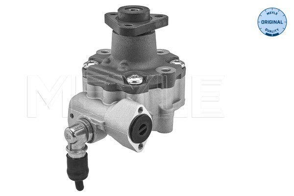 Servopump Meyle 114 631 0056 MEYLE