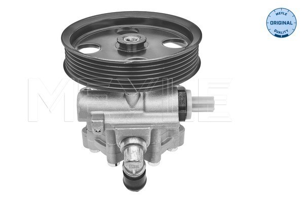 Servopump Meyle 15-14 631 0001 MEYLE
