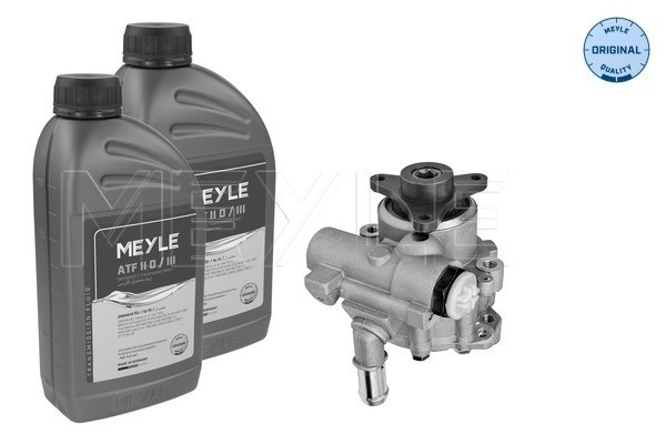 Servopump Meyle 16-14 631 0001/S MEYLE