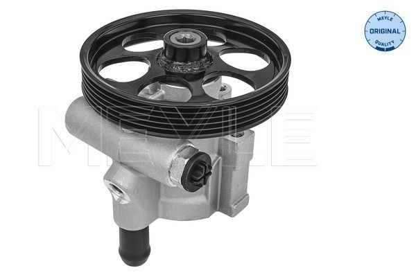Servopump Meyle 16-16 631 0002 MEYLE