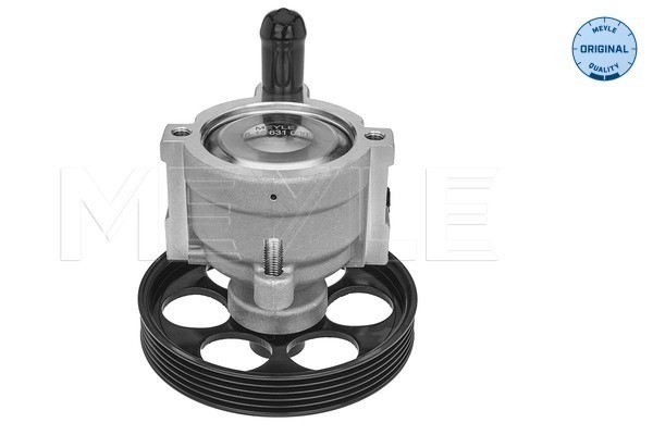 Servopump Meyle 16-16 631 0002 MEYLE