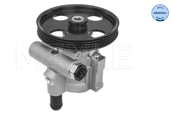 Servopump Meyle 16-16 631 0003 MEYLE
