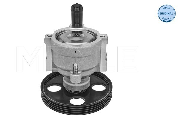 Servopump Meyle 16-16 631 0003 MEYLE
