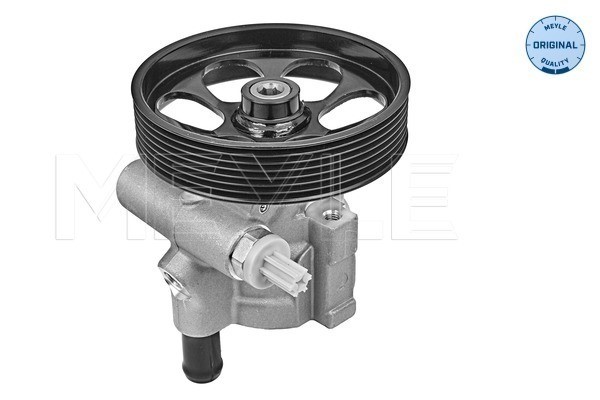 Servopump Meyle 16-16 631 0004 MEYLE