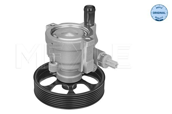 Servopump Meyle 16-16 631 0004 MEYLE Servopump Meyle 16-16 631 0004 MEYLE