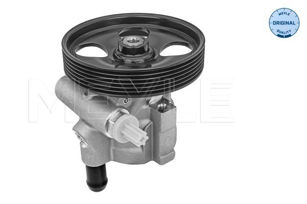 Servopump Meyle 16-16 631 0005 MEYLE