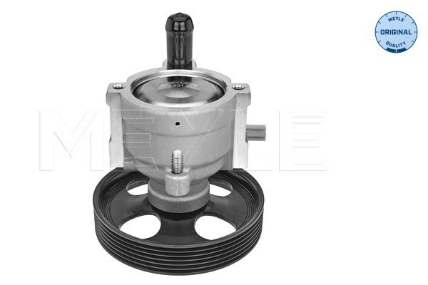 Servopump Meyle 16-16 631 0005 MEYLE
