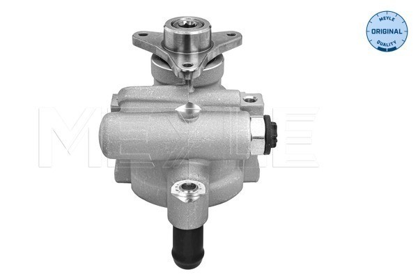 Servopump Meyle 16-16 631 0006 MEYLE