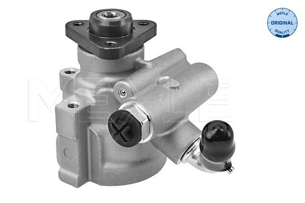 Servopump Meyle 214 631 0007 MEYLE Servopump Meyle 214 631 0007 MEYLE