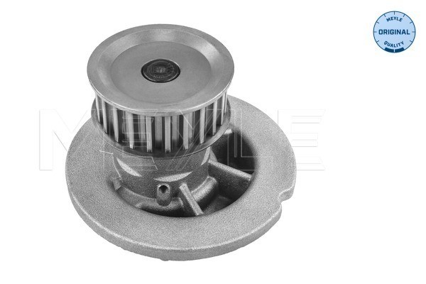 Vattenpump Meyle 29-13 220 0001 MEYLE