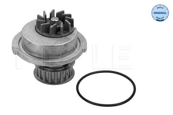 Vattenpump Meyle 29-13 350 0001 MEYLE