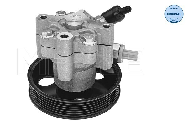 Servopump Meyle 29-14 631 0004 MEYLE Servopump Meyle 29-14 631 0004 MEYLE