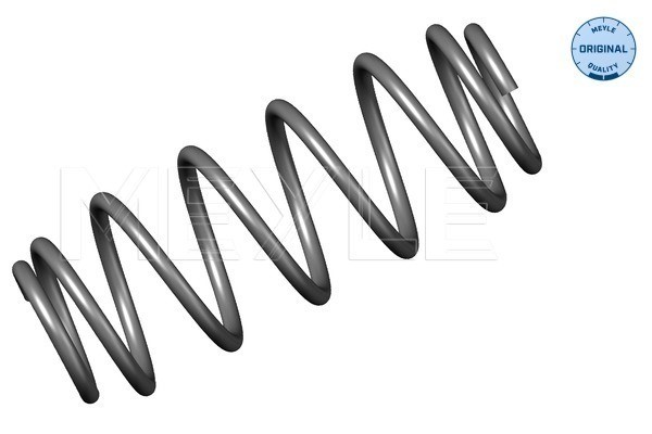 Spiralfjäder, Bakaxel MEYLE