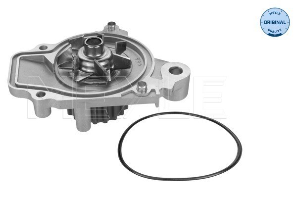 Vattenpump Meyle 31-13 192 0001 MEYLE