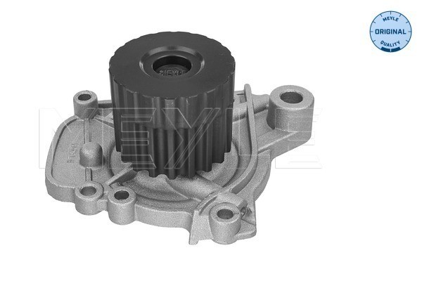 Vattenpump Meyle 31-13 192 0003 MEYLE