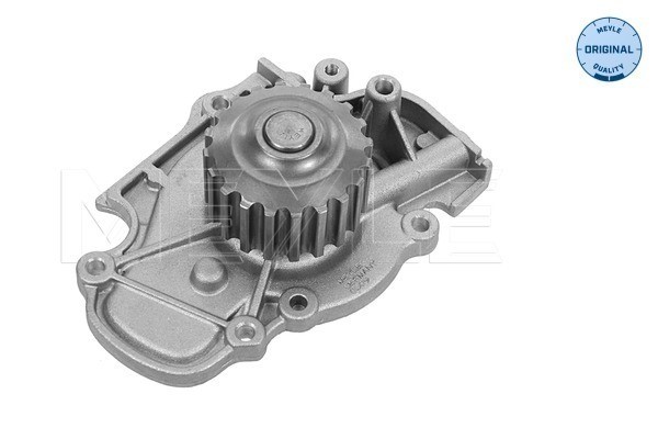 Vattenpump Meyle 31-13 192 0008 MEYLE
