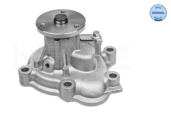 Vattenpump Meyle 31-13 220 0013 MEYLE