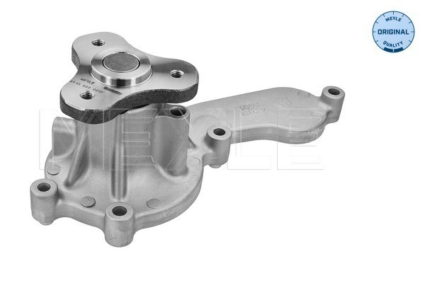 Vattenpump Meyle 31-13 220 0017 MEYLE