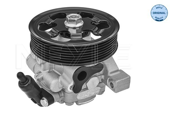 Servopump Meyle 31-14 631 0002 MEYLE