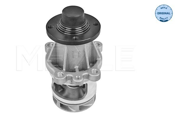 Vattenpump Meyle 313 011 2900 MEYLE Vattenpump Meyle 313 011 2900 MEYLE