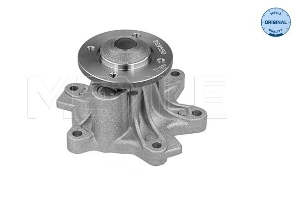 Vattenpump Meyle 313 220 0010 MEYLE