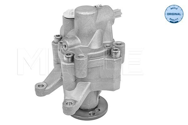 Servopump Meyle 314 631 0024 MEYLE