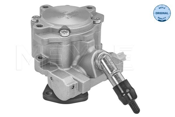 Servopump Meyle 314 631 0029 MEYLE Servopump Meyle 314 631 0029 MEYLE