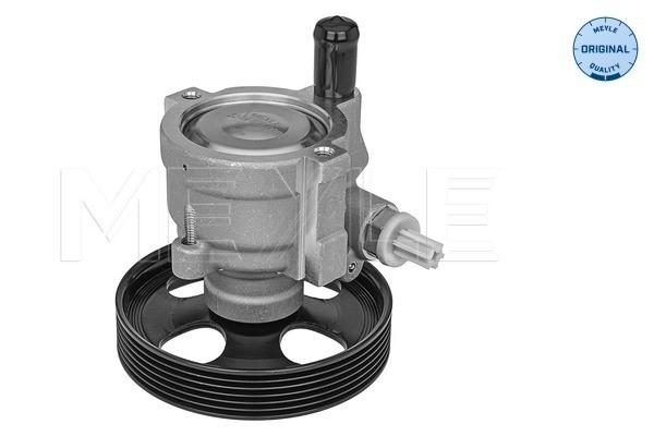Servopump Meyle 32-14 631 0002 MEYLE