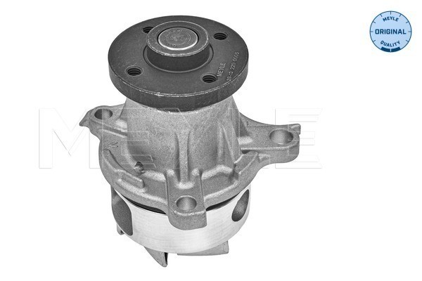 Vattenpump Meyle 39-13 220 0005 MEYLE Vattenpump Meyle 39-13 220 0005 MEYLE