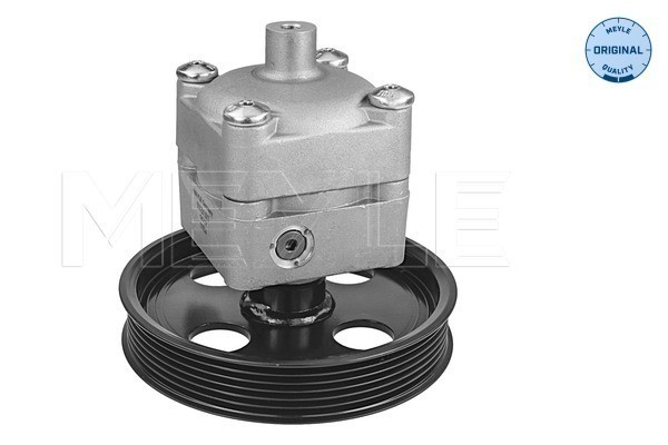 Servopump Meyle 514 631 0017 MEYLE Servopump Meyle 514 631 0017 MEYLE