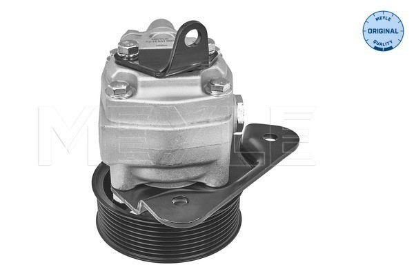 Servopump Meyle 53-14 631 0003 MEYLE Servopump Meyle 53-14 631 0003 MEYLE