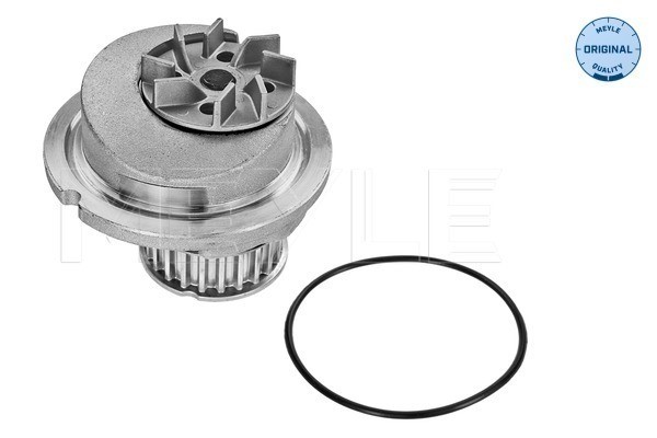 Vattenpump Meyle 613 600 0001 MEYLE