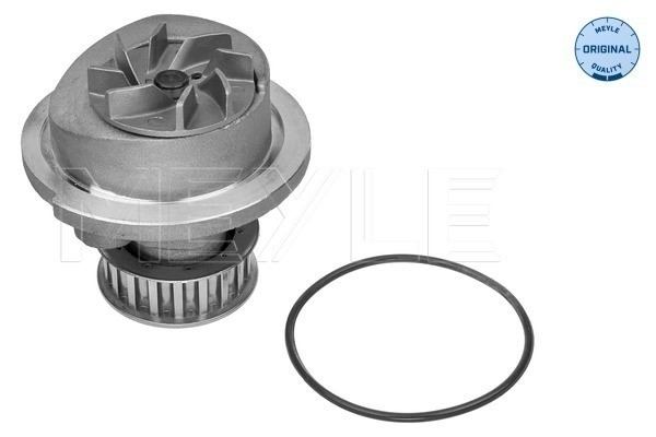 Vattenpump Meyle 613 600 0005 MEYLE