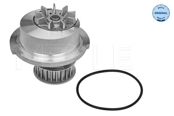 Vattenpump Meyle 613 600 4046 MEYLE