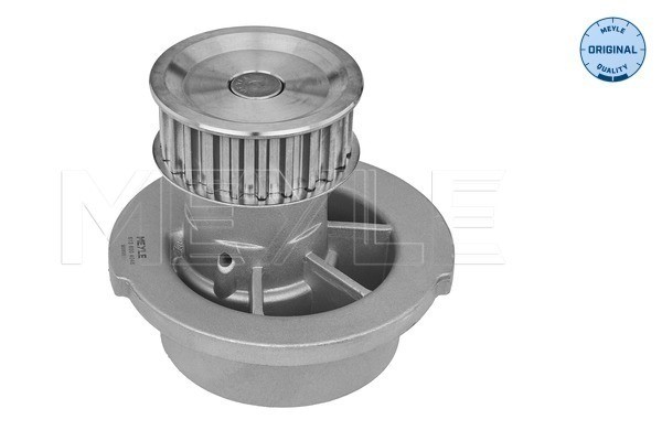 Vattenpump Meyle 613 600 4046 MEYLE
