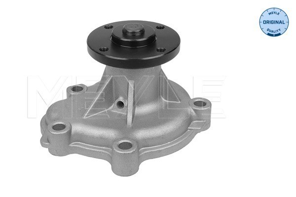 Vattenpump Meyle 613 600 4052 MEYLE