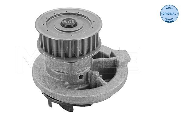 Vattenpump Meyle 613 600 4054 MEYLE