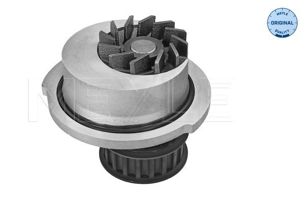 Vattenpump Meyle 613 600 4098 MEYLE