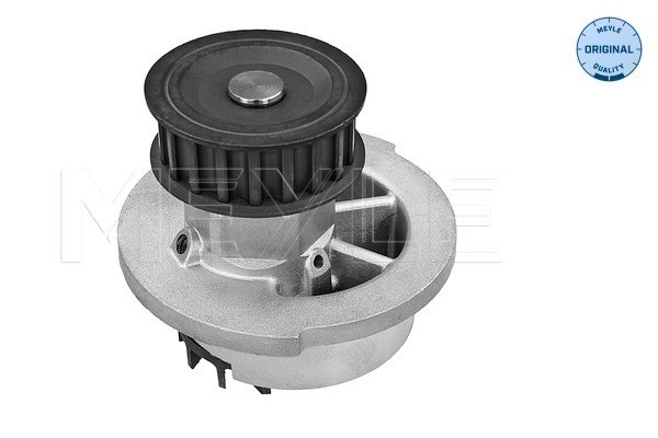 Vattenpump Meyle 613 600 4098 MEYLE
