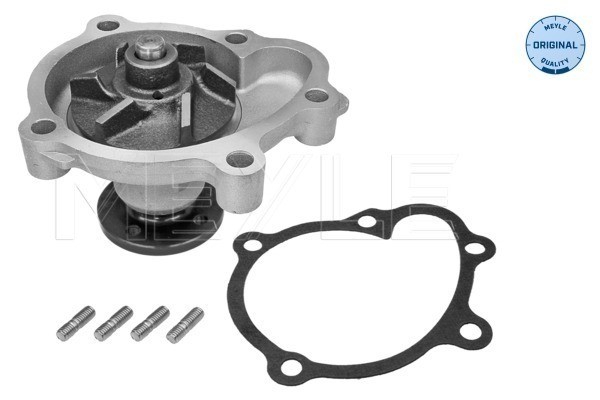 Vattenpump Meyle 613 600 4115 MEYLE