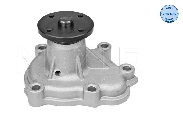 Vattenpump Meyle 613 600 4115 MEYLE