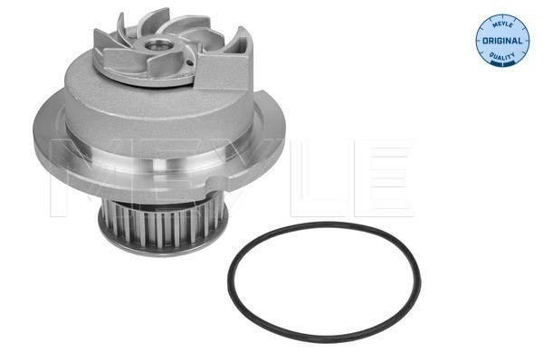 Vattenpump Meyle 613 600 4135 MEYLE
