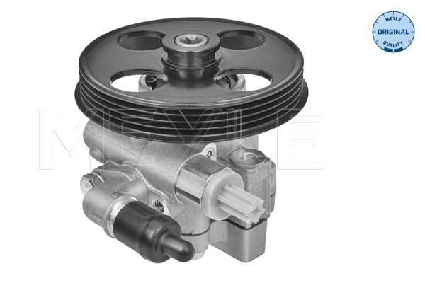 Servopump Meyle 614 631 0018 MEYLE Servopump Meyle 614 631 0018 MEYLE