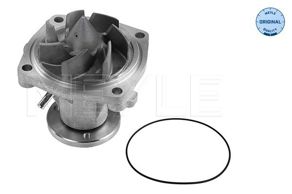 Vattenpump Meyle 713 220 0004 MEYLE